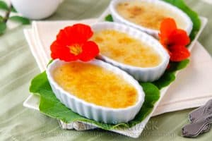 Vanilla Crème Brûlée