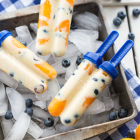 Apricot Blueberry Creamsicles