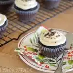 Dark Chocolate Sea Salt Cupcakes with Vanilla Bean Frosting