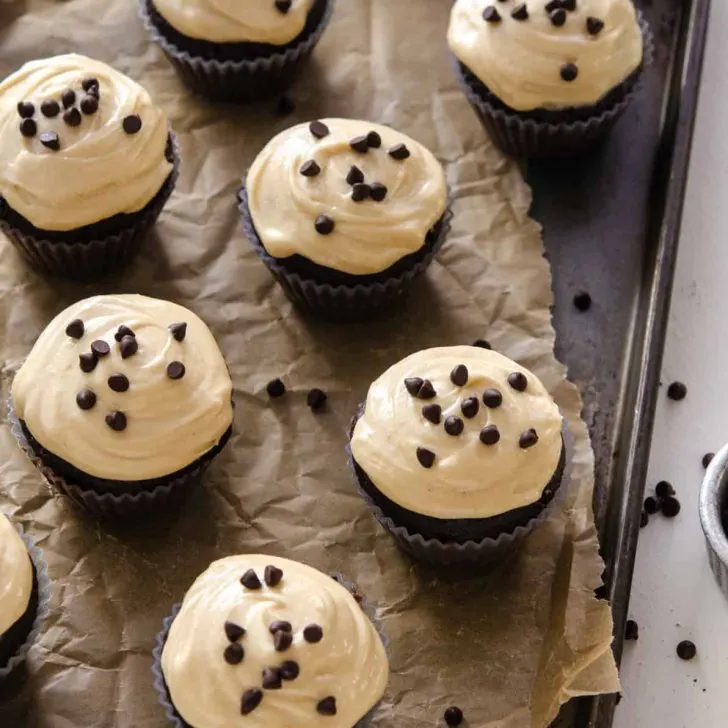 Chocolatey cake topped with insanely good Vegan Peanut Butter Cream Cheese Frosting! Plus, some chocolate chips for good measure.