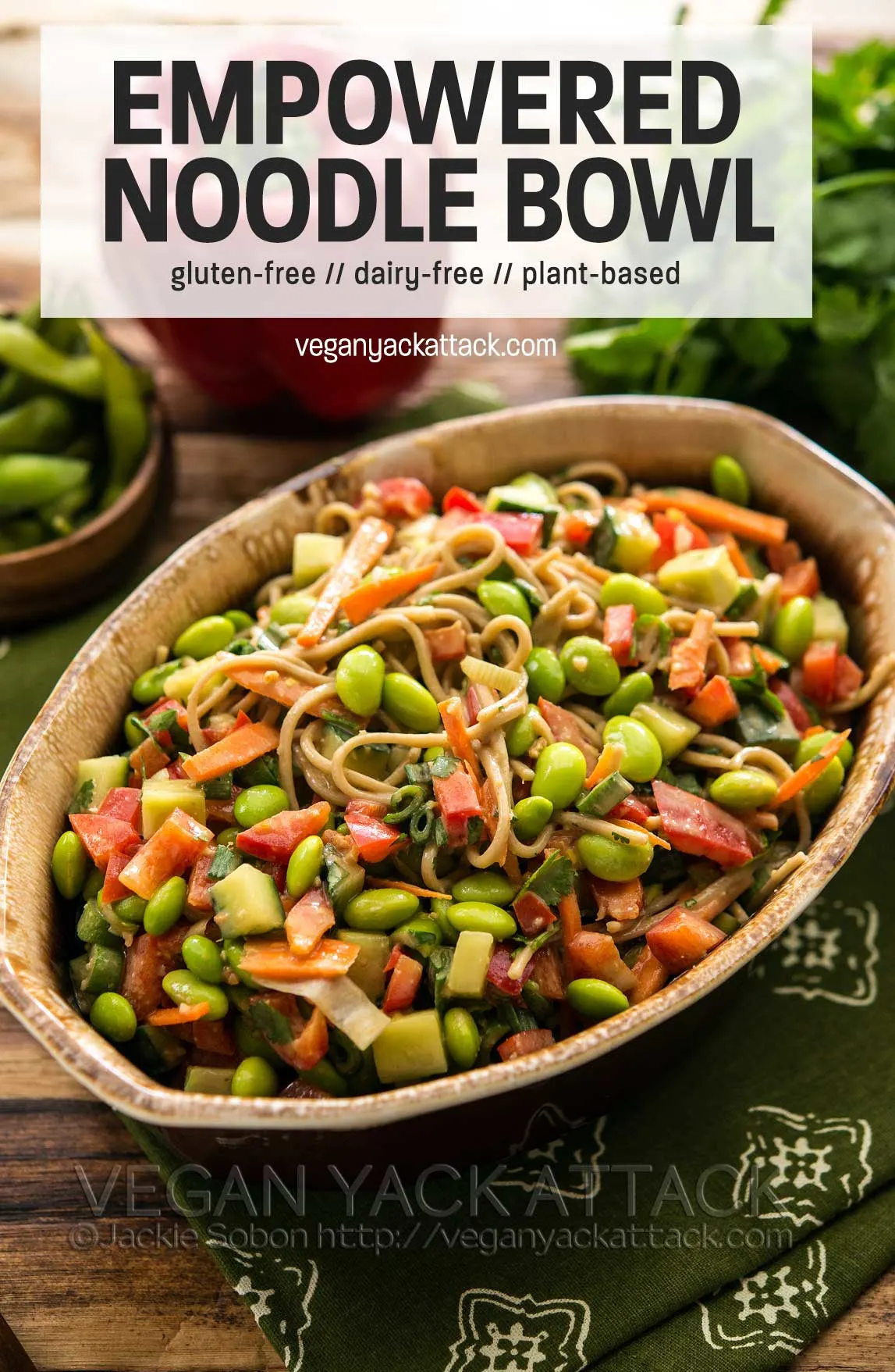 A delicious recipe for the Empowered Noodle Bowl with lots of veggies, and a Thai peanut sauce; from The Oh She Glows Cookbook! Vegan, Dairy-free oval bowl of soba noodle salad with many vegetables mixed in, on a green linen