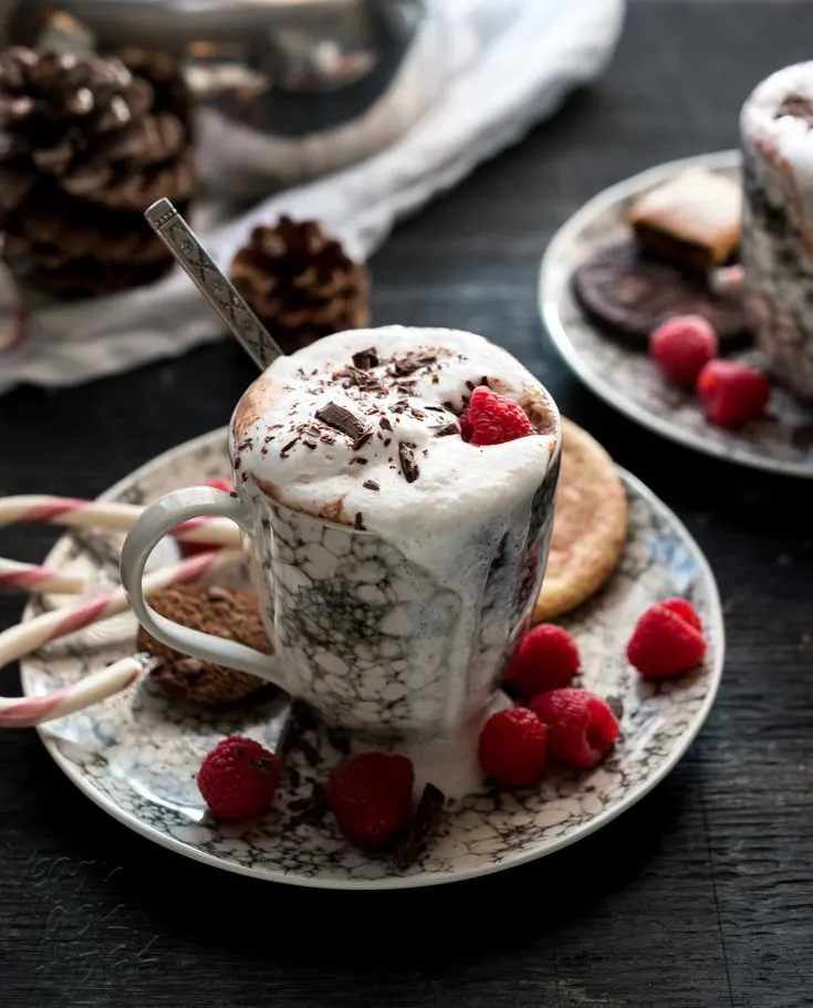 If you’re looking for the perfect, warming beverage for cool, winter nights, look no further than this dairy-free, sugar-free Raspberry Hot Cocoa! #vegan #lenoxusa #healthy #glutenfree
