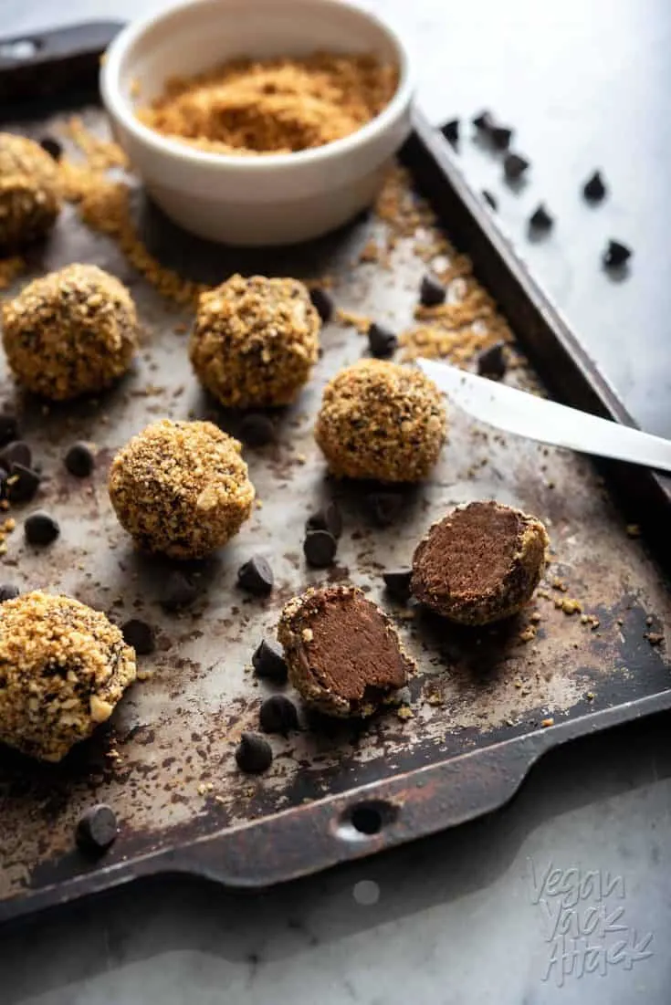 Easy-to-make and with only 8 ingredients, these Chocolate Peanut Butter Candy Bites are perfect for satiating that sweet tooth in no time! From The Vegan 8 Cookbook, by Brandi Doming. #vegan #glutenfree #soyfree