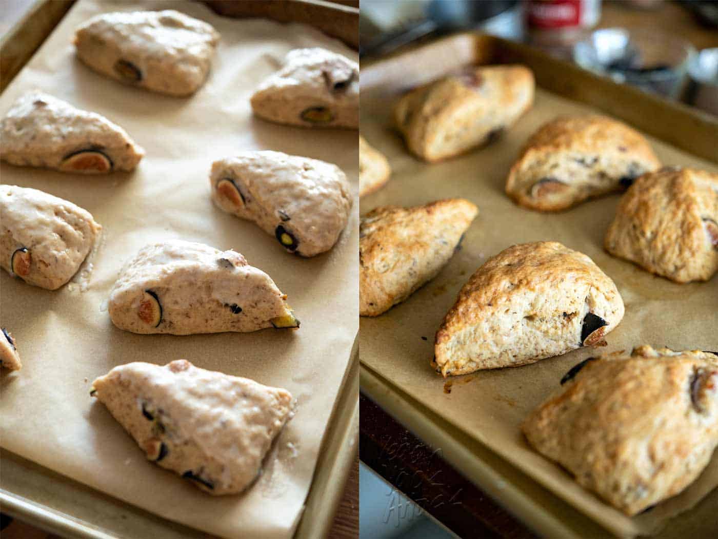Fig scones on a baking sheet before and after baking