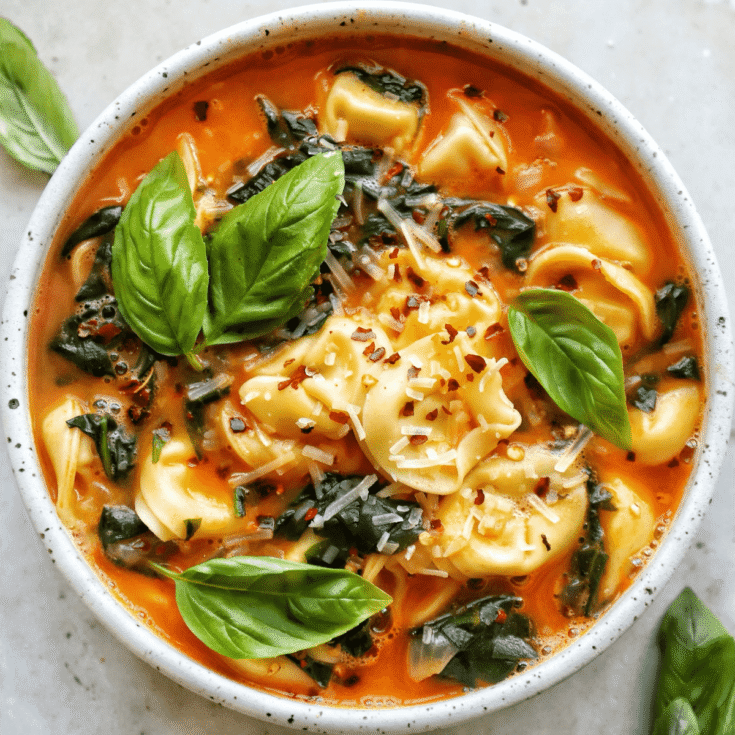 Image for Vodka Tortellini Soup