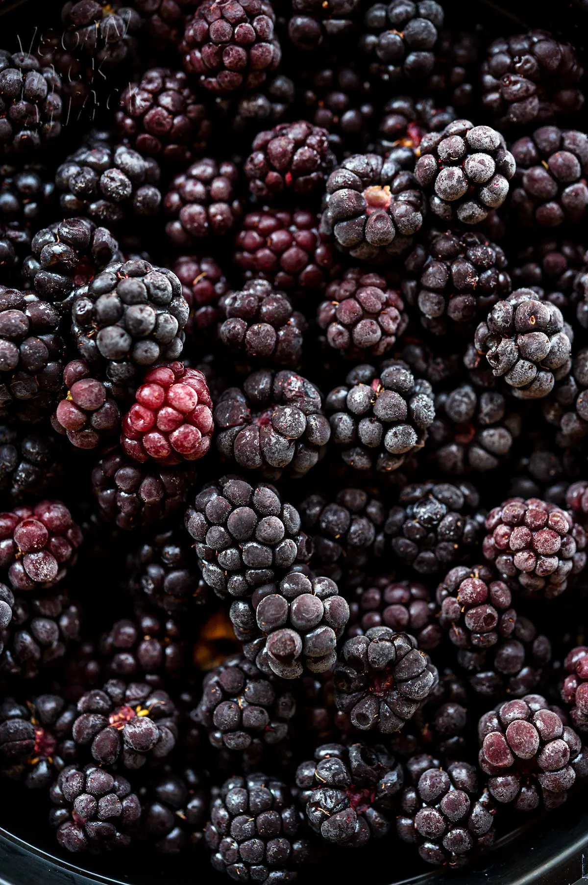 close up of frozen blackberries