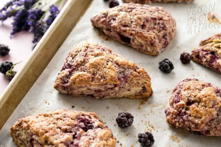 baked scones on a lined baking tray with blackberries and fresh lavender