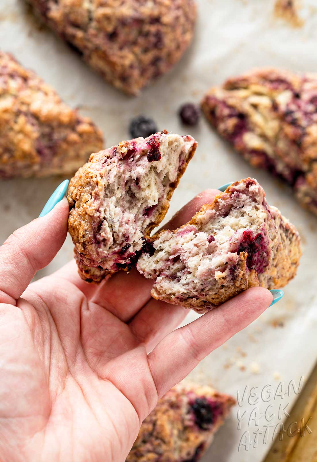 Hand holding two halves of blackberry scone