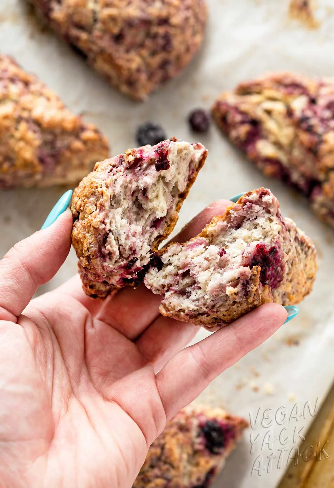 Hand holding two halves of blackberry scone